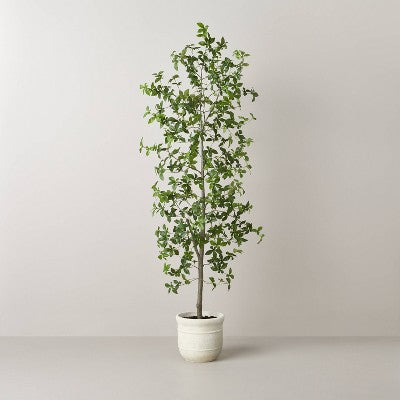 72" Faux Gypsophila Leaf Tree - Hearth & Hand with Magnolia: Indoor Artificial Plant, No Assembly, Potted