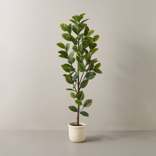 72" Faux Potted Rubber Tree - Hearth & Hand with Magnolia