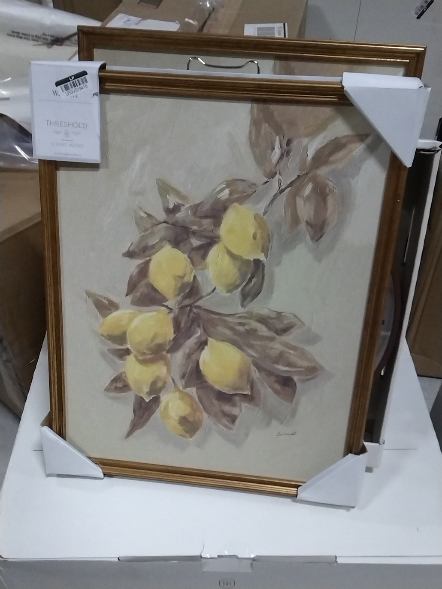 16"x20" Lemons Vintage Framed Wall Art - Threshold designed with Studio McGee