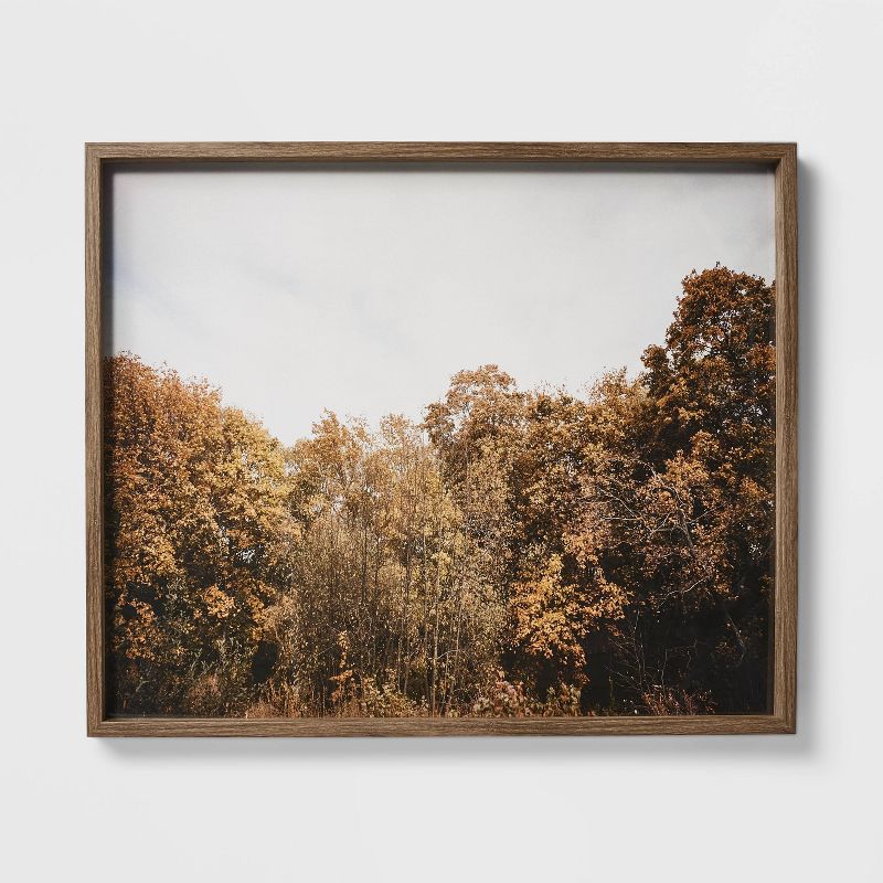 36" X 30" Golden Forest Framed Wall Art: Modern Decor, Mdf & Glass - Threshold™ Designed W/studio Mcgee : Target