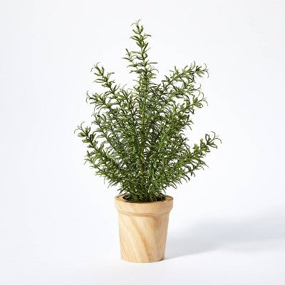 Rosemary Tree - Threshold designed with Studio McGee