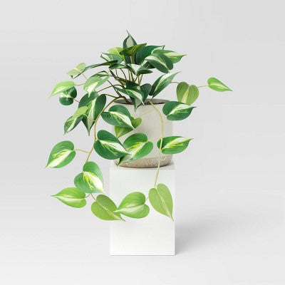 Small Marble Pothos Plant - Threshold: Faux Greenery, Indoor Stoneware Pot