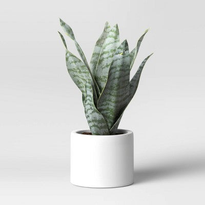 8" x 5" Artificial Snake Plant in Pot - Threshold