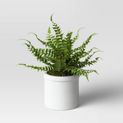Small Boston Fern - Threshold: Faux Greenery in White Ceramic Pot, Indoor Decor