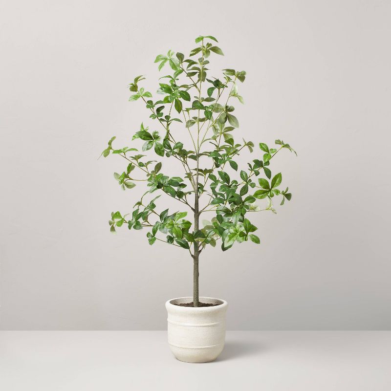 33" Faux Gypsophila Leaf Plant - Hearth & Hand™ With Magnolia: Indoor Artificial Greenery, Farmhouse Style Decor, Polyester & Wire : Target