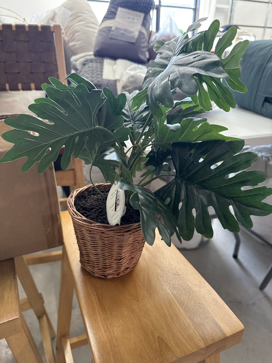 Philodendron Decorative Plant in Basket - Threshold designed with Studio McGee: Indoor Faux Greenery, Wicker Basket