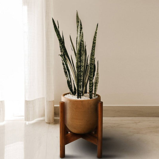 Wooden Plant Stand (fit Up To 12") Antique Mahogany - Flora Home : Target