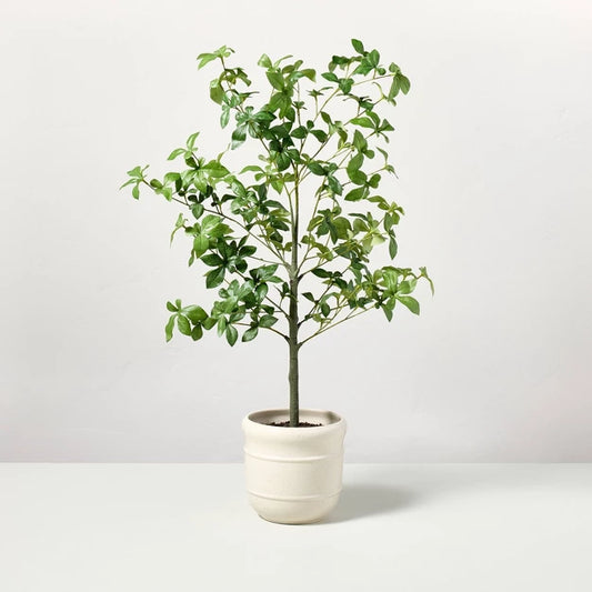 33" Faux Potted Gypsophila Leaf Tree - Hearth & Hand with Magnolia