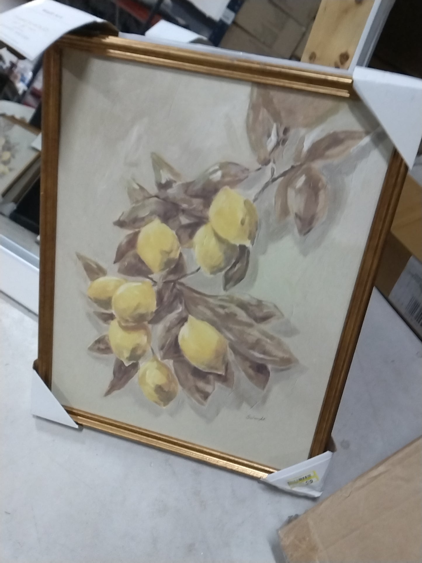 16"x20" Lemons Vintage Framed Wall Art - Threshold designed with Studio McGee