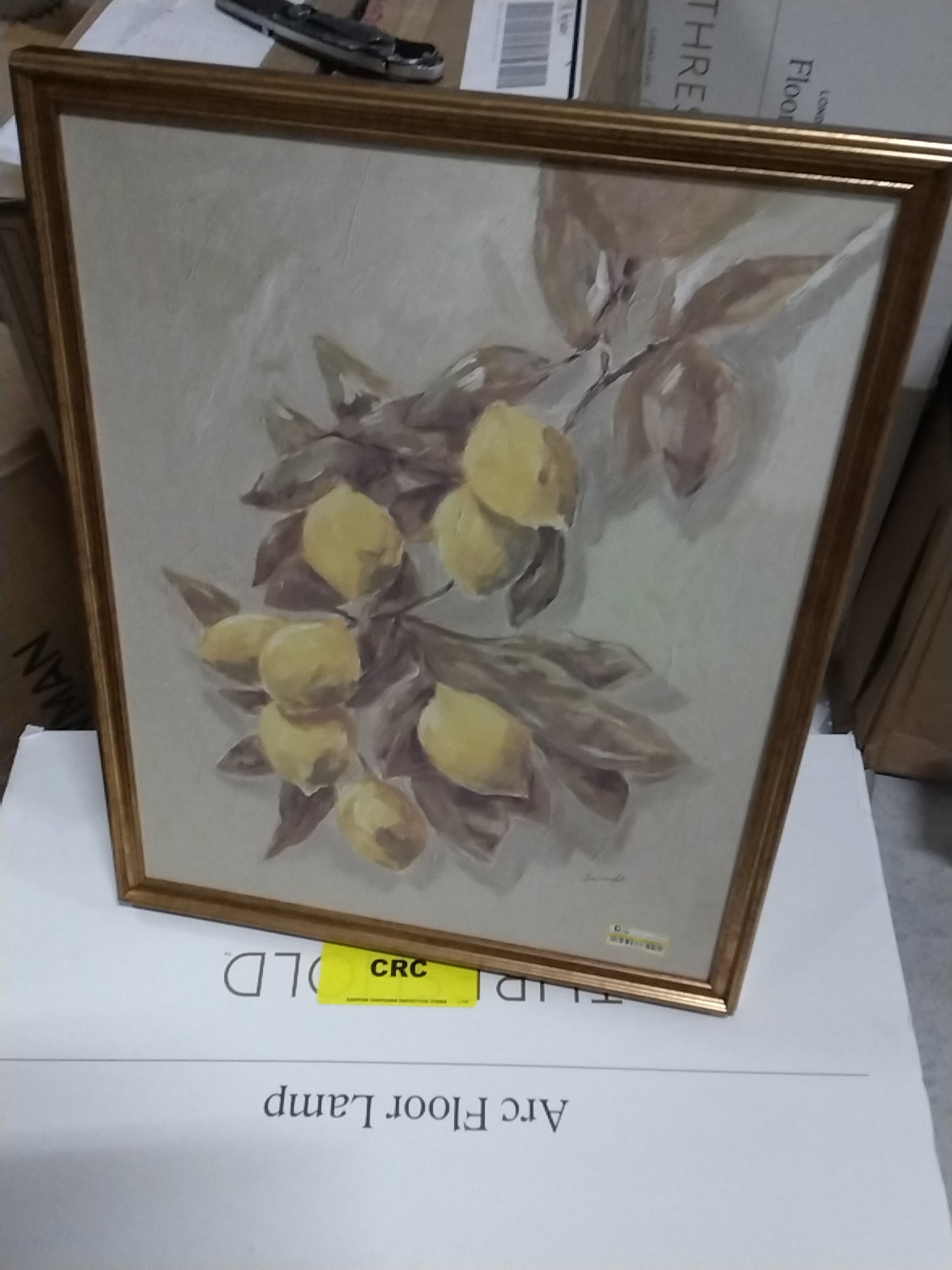 16"x20" Lemons Vintage Framed Wall Art - Threshold designed with Studio McGee