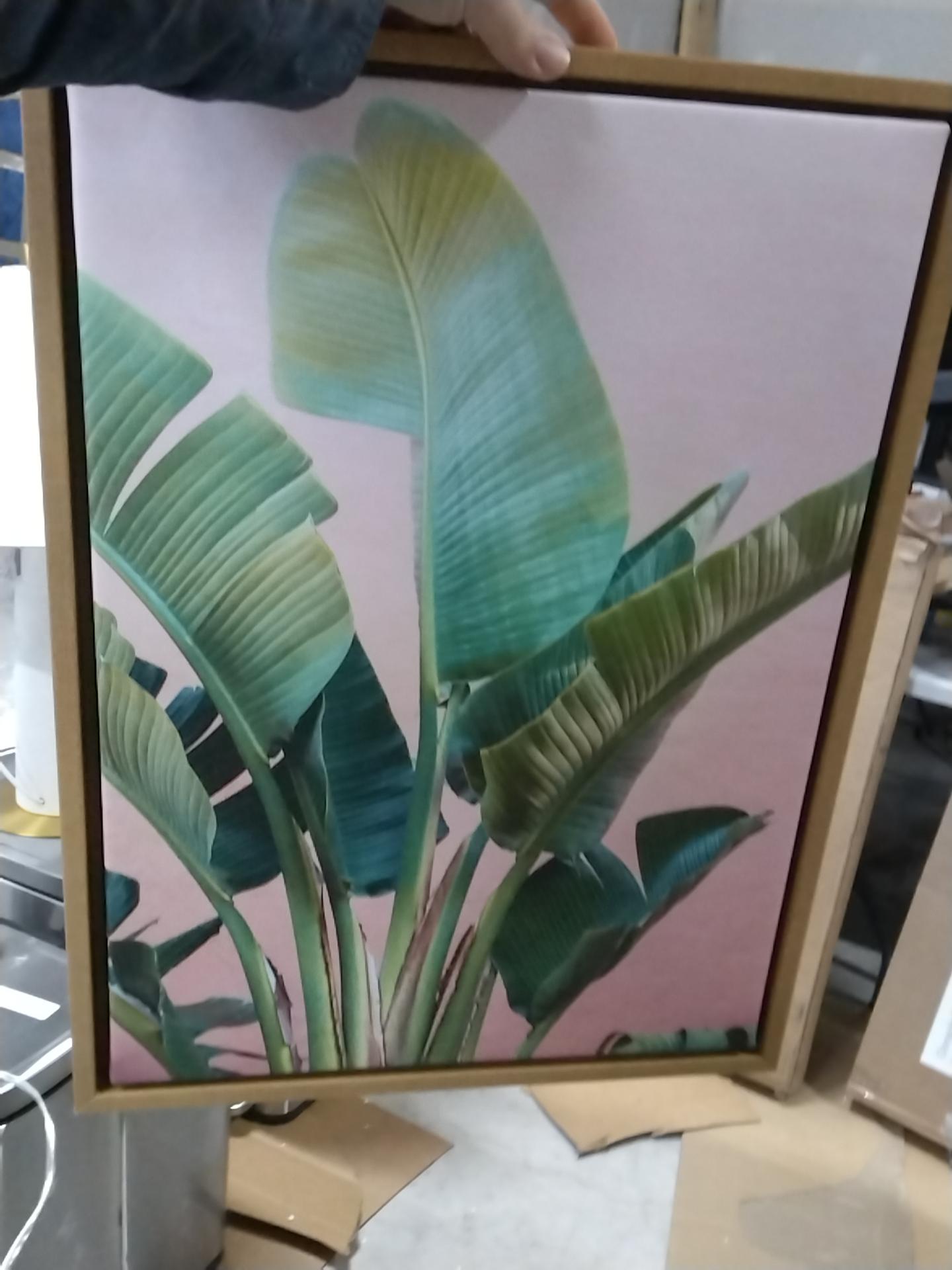 Kate & Laurel All Things Decor 18"x24" Sylvie Ficus Elastica Wall Art by Alicia Bock: Tranquil Botanical Decor