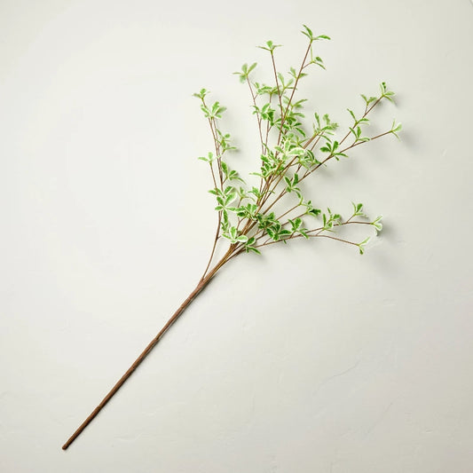 36" Faux Variegated Terminalia Leaf Branch - Hearth & Hand with Magnolia