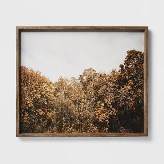 36" X 30" Golden Forest Framed Wall Art: Modern Decor, Mdf & Glass - Threshold™ Designed W/studio Mcgee : Target