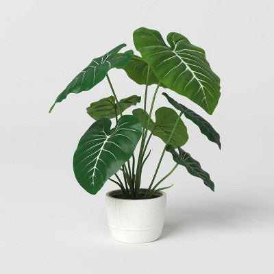 Large Artificial Dasheen Leaf Plant - Threshold: 19" Taro in Ceramic Pot, Indoor Faux Flora Decor