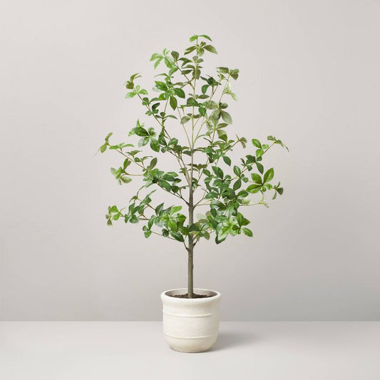 33" Faux Gypsophila Leaf Plant - Hearth & Hand™ With Magnolia: Indoor Artificial Greenery, Farmhouse Style Decor, Polyester & Wire : Target